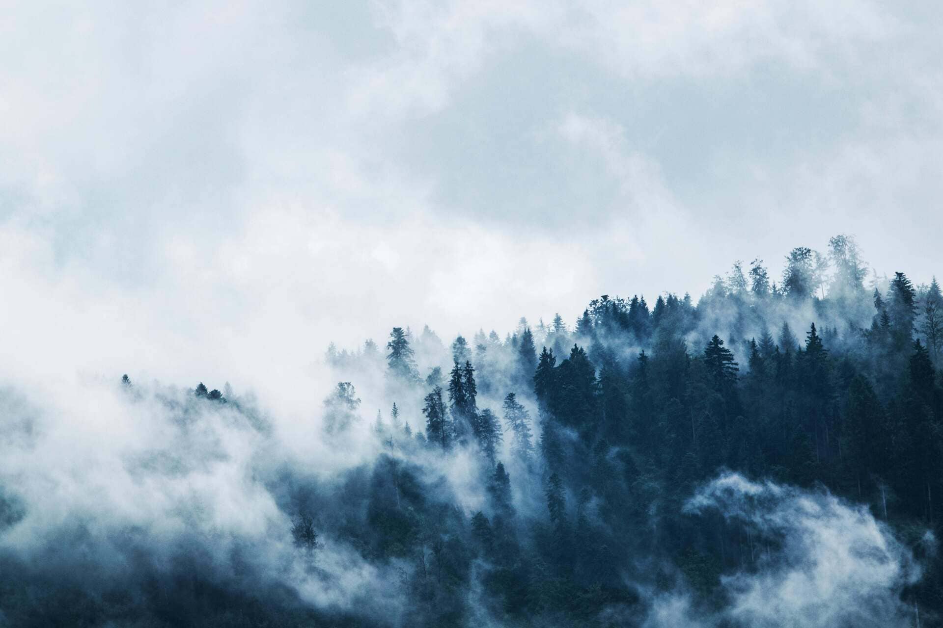 What Helps with Brain Fog Proven Ways to Regain Clarity and Focus 1.jpg