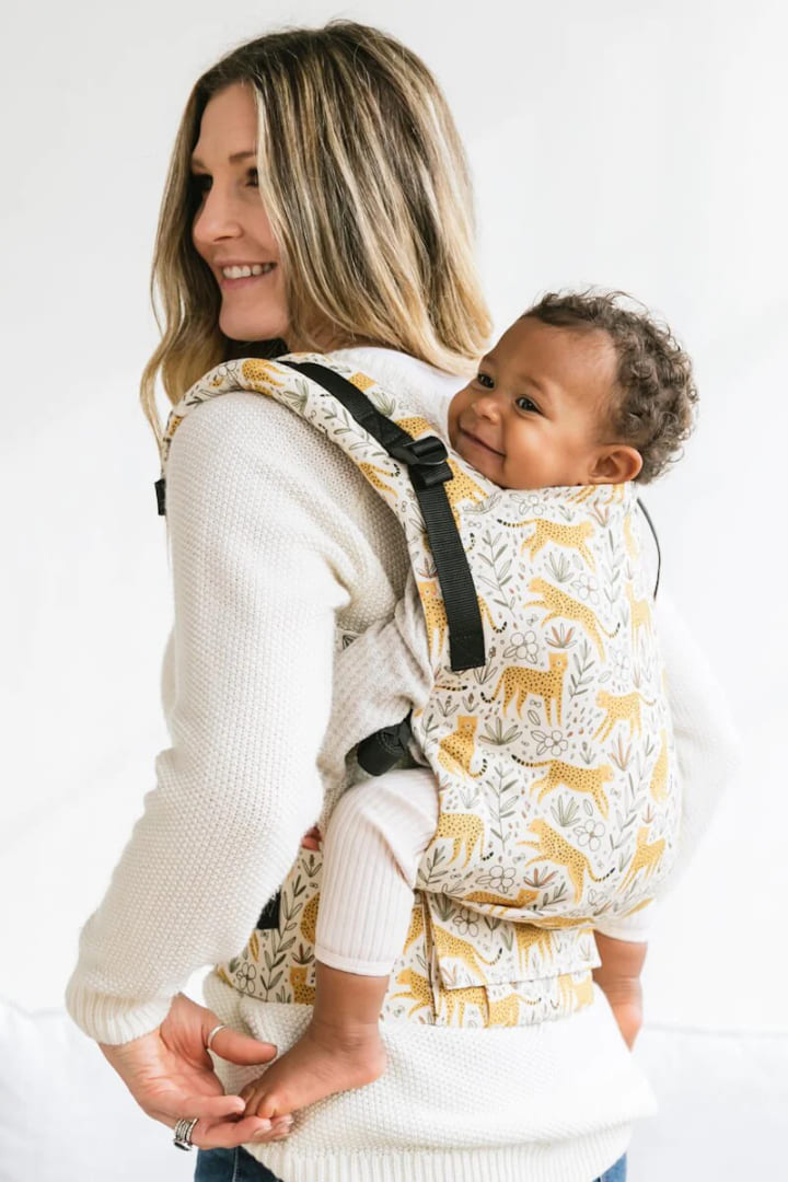 article_Best Baby Carrier for Newborns_6.jpg